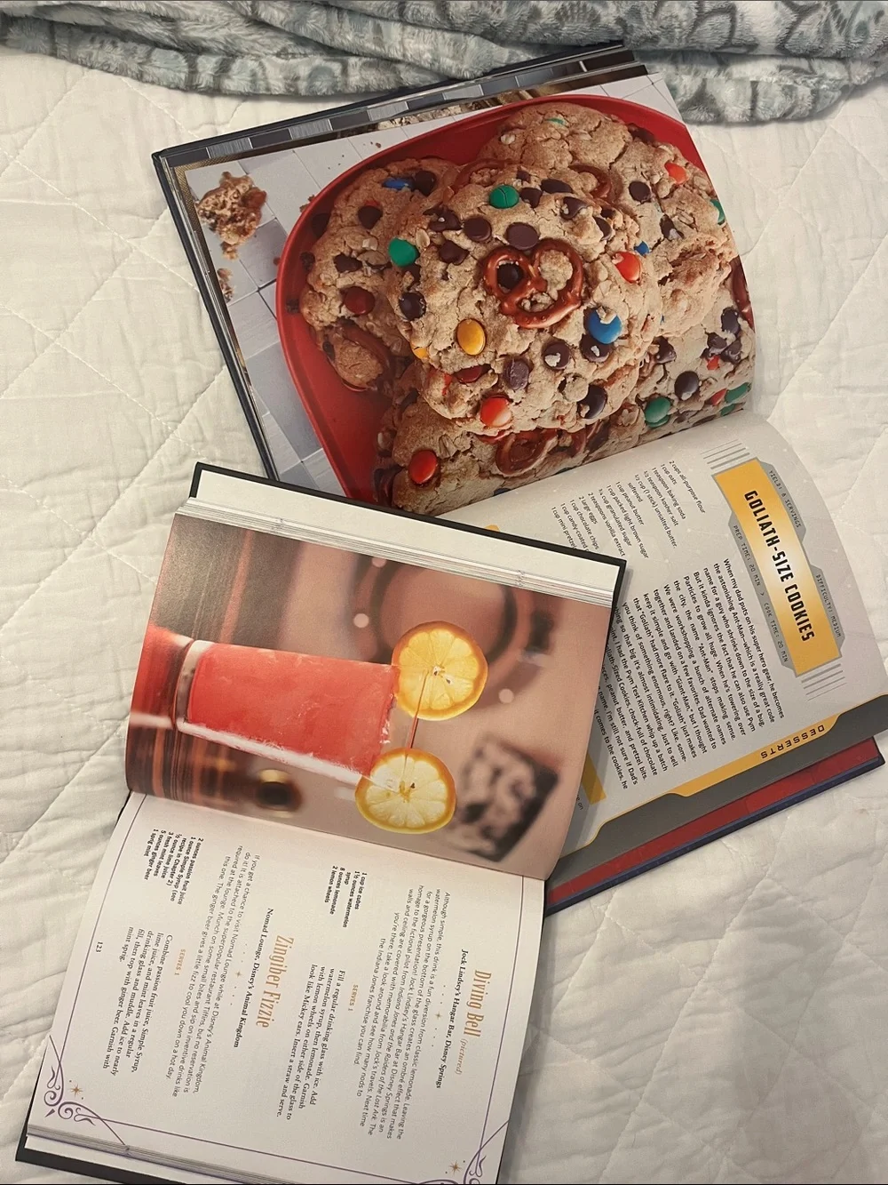 Disney themed cookbook duo